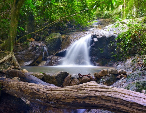 Forest photography background - Beautiful waterfall stream landscape